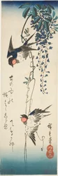 Swallows and Wisteria