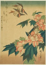 Swallows, Kingfisher, and Hibiscus