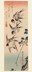 Tanzaku, Four Swallows