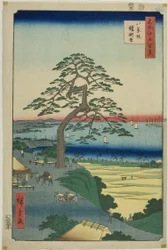 The Armor-hanging Pine at Hakkeizaka, from the series "One Hundred Famous Views of Edo"