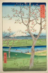 The Outskirts of Koshigaya in Musashi Province, from the series 