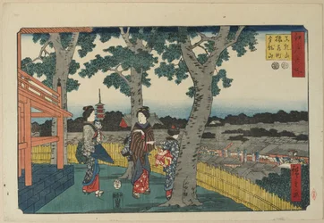 The View of Matuschiyama Hill, Saruwaka District and Kinryu-zan Temple, November 1853