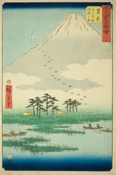 Yoshiwara: Fuji Marsh and Ukishima Plain, No. 15 from the Series 