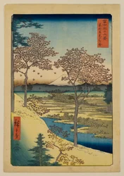 Yūhigaoka at Meguro in the Eastern Capital, from the series “Thirty-six Views of Mount Fuji”