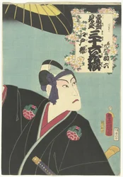 Cherry Blossom of Edo