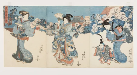 Cherry Blossom Trees at Atagoyama