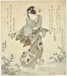 Woman Harvesting Ferns