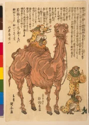 A Camel