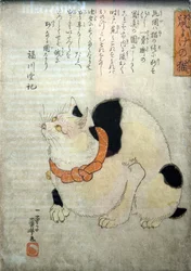 Cat to Keep Mice Away