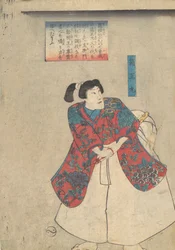 Hakoomaru, Buyu chikara-gusa