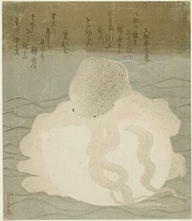 Octopus and Shell