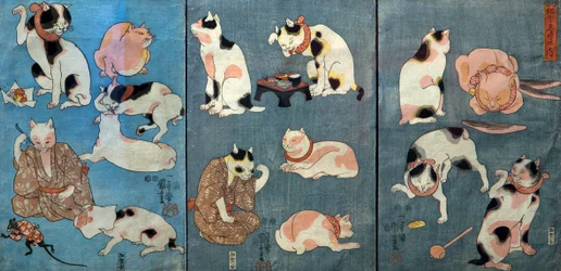 Proverbs Illustrated by Cats, c.1852