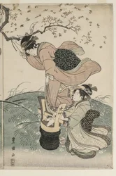 Cherry Blossoms in the Wind