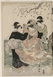 Cherry Blossoms in the Wind