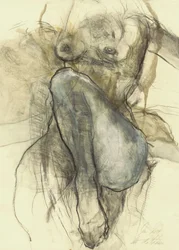 Human Form Study