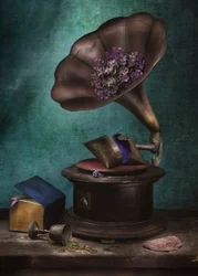 Moody Vintage Gramophone