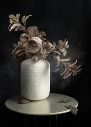 Quiet Botanical Still Life