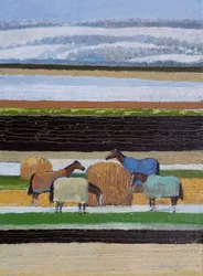 Horses in Blankets, 2022