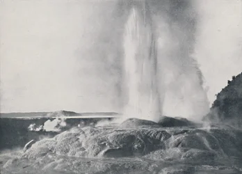 Geyser, New Zealand