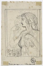 Woman Profile
