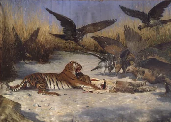 A Man-eater