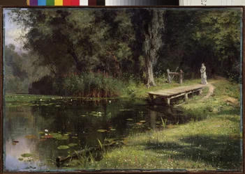 Overgrown Pond