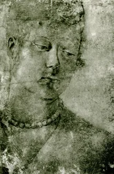 Female Head Study