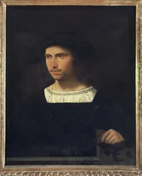 Portrait of a Young Man