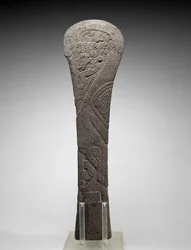 Palma with a Waterbird