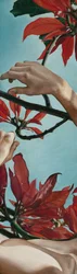 Hands Among Red Leaves