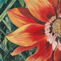 Vibrant Orange Bloom