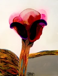 Dramatic Red Bloom