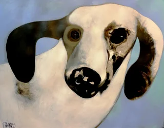 Dreamy Canine Portrait