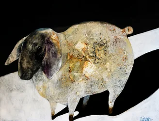 Textured White Sheep