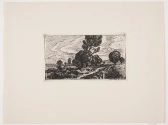 Road Through the Marsh