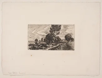 Road Through the Marsh