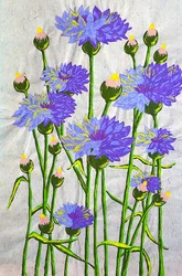 Vibrant Blue Cornflowers
