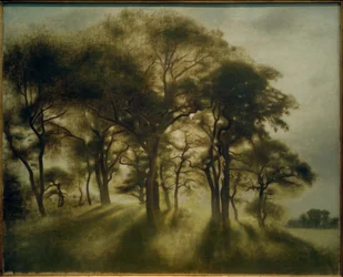 Landscape near Fortunen