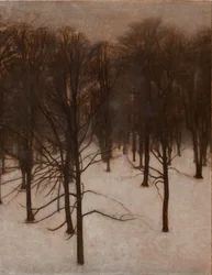 Søndermarken Park in Winter