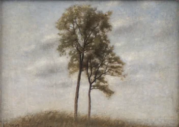 Young Oaks