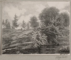 Hills by a bog