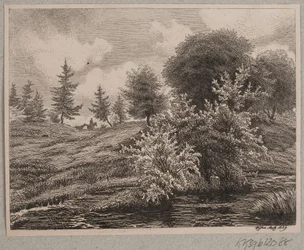 Hills by a marsh