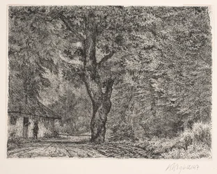 The House in the Forest