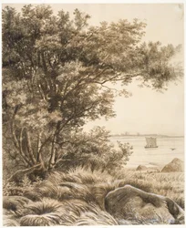 Coastal Landscape with Tall Trees. Motif from Esrum Lake