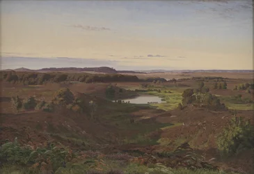 Landscape in the North of Zealand. Afternoon