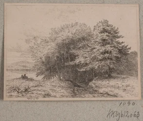 Edge of a Forest