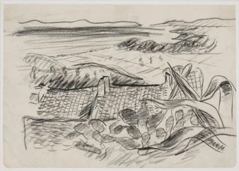 Landscape with Agave