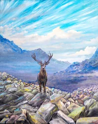 Stag! meeting on the rocks, 2022
