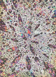 Stars give birth to Colour, 2016