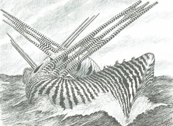 Storm Creators Lake Pontchartrain, 2021